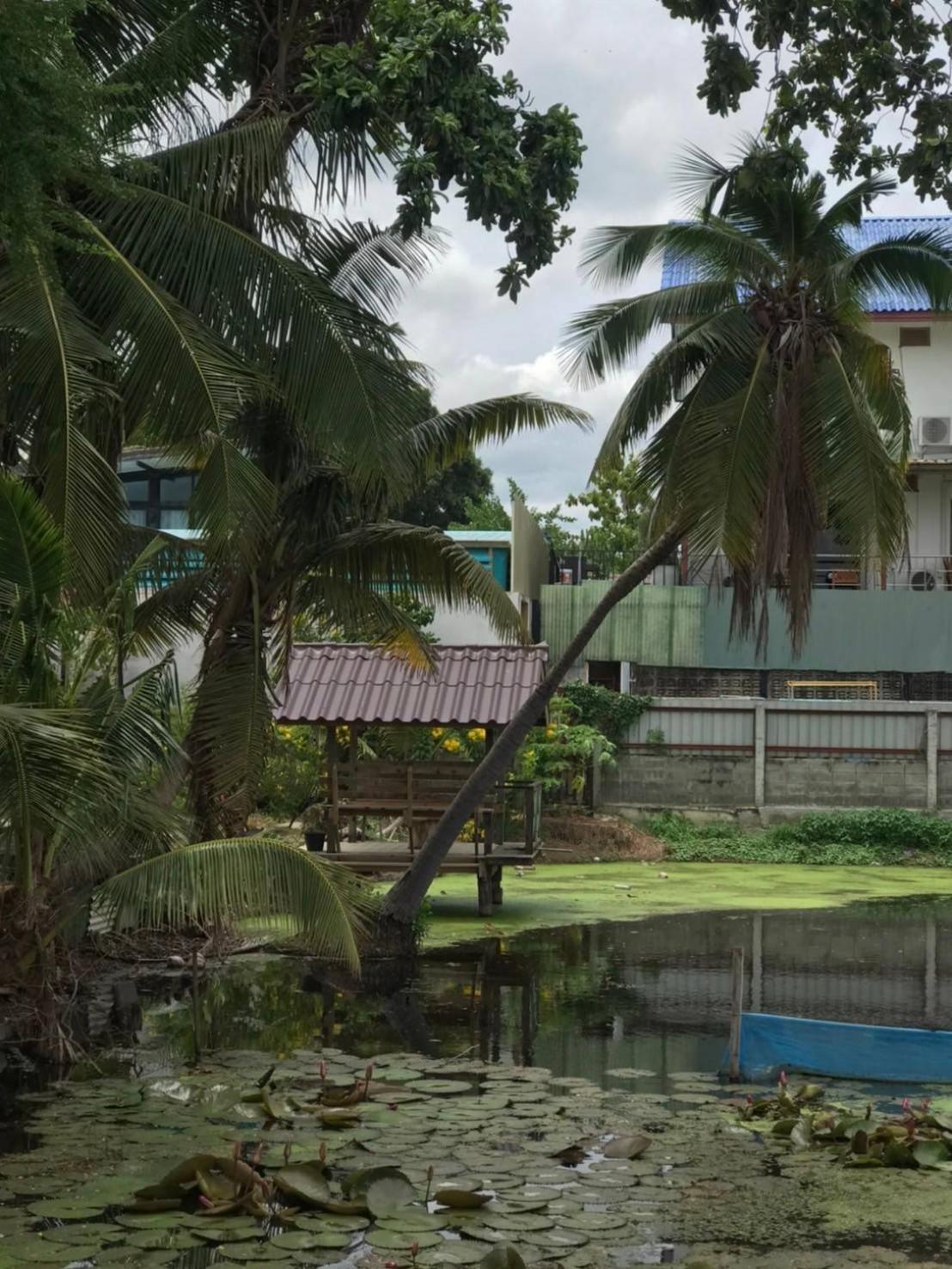 Baan Lotus Guest House Phra Nakhon Si Ayutthaya Buitenkant foto